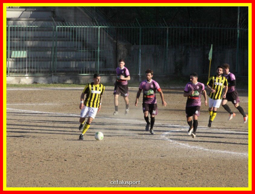 190310 Cephal_Torrenov 199_tn.jpg